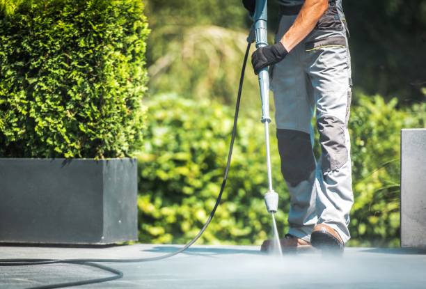 Best Sidewalk and Walkway Cleaning  in Trumann, AR